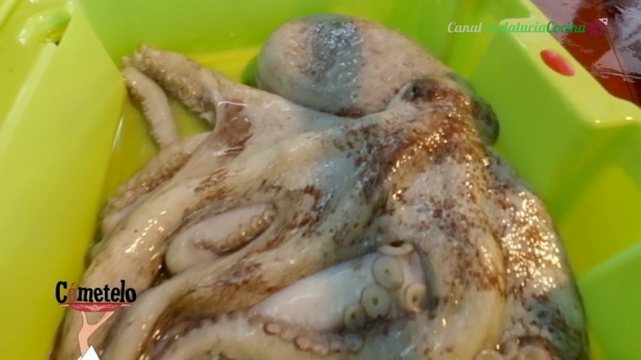 La pesca del pulpo en Motril, Granada