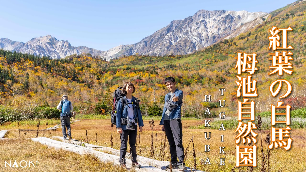 【登山泊】紅葉の栂池自然園！白馬大池でテント泊！