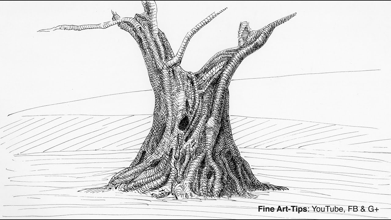 How to Use a Dip Pen - Drawing an Olive Tree - Narrated