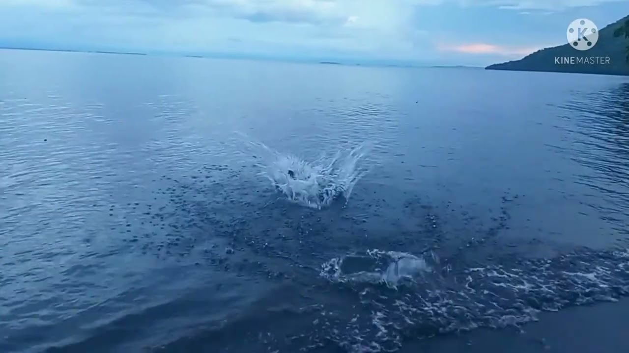 Ples Sea Side | Ace x Norbix x Jawz | PNG Music | Video By MarshKay 🔥