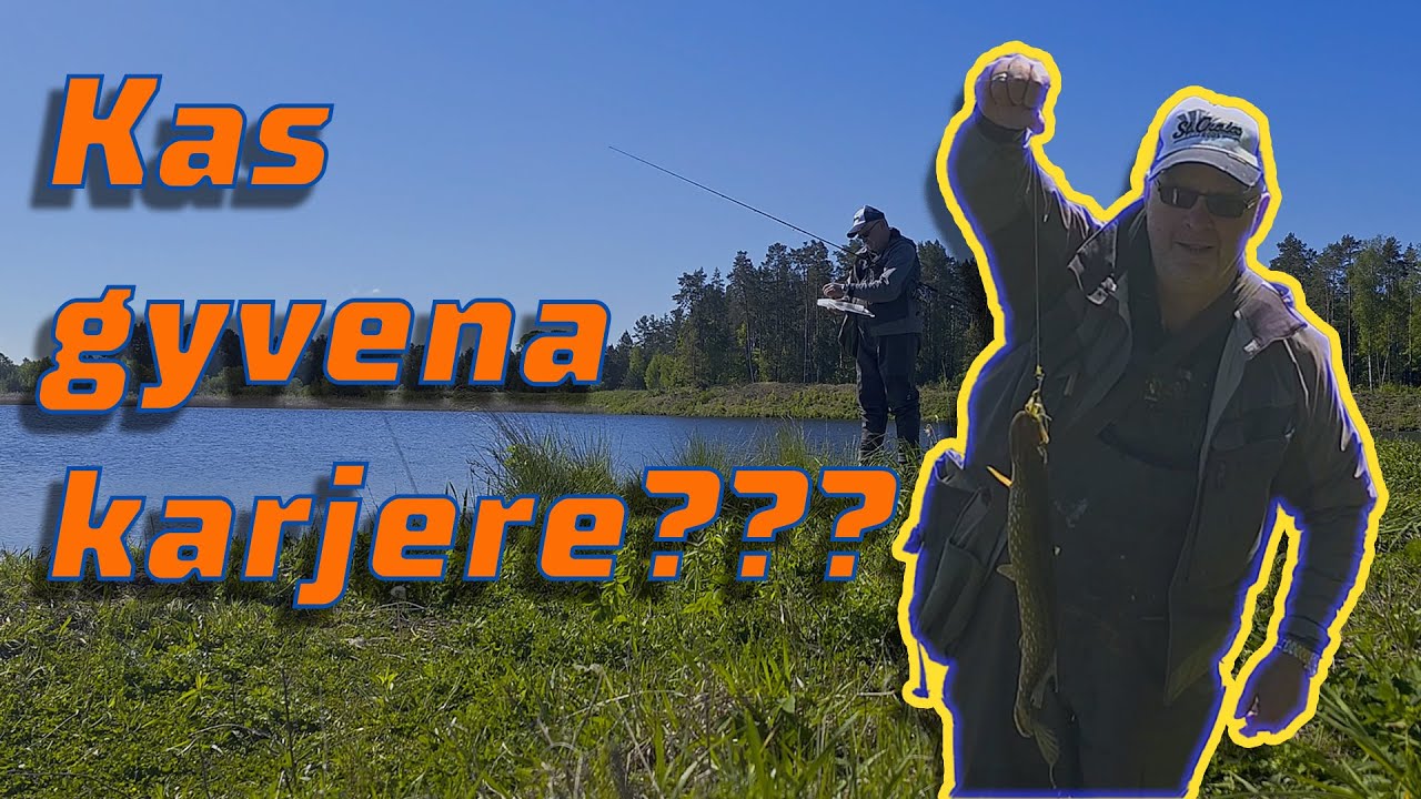 Gegužės lydekos pakaunės karjere.