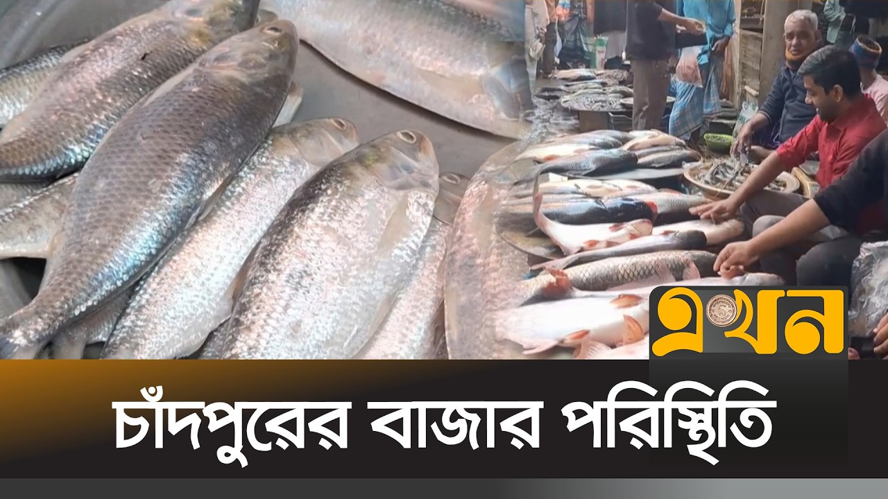 বাজারে সরবরাহ কম থাকার কারণে ইলিশের দাম বেশি | Chandpur News | Hilsha Fish | Ekhon TV