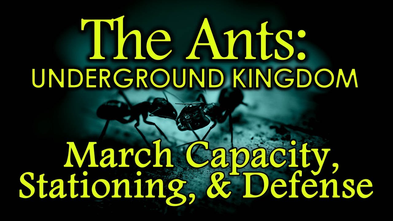 The Ants: Underground Kingdom - Beginners Guide - March Cap, Stationing, and Defense