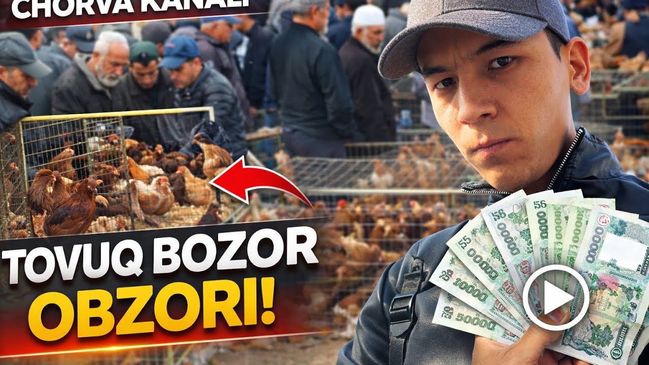 Xo'jaobod Tovuq bozori 21-Fevral 2026