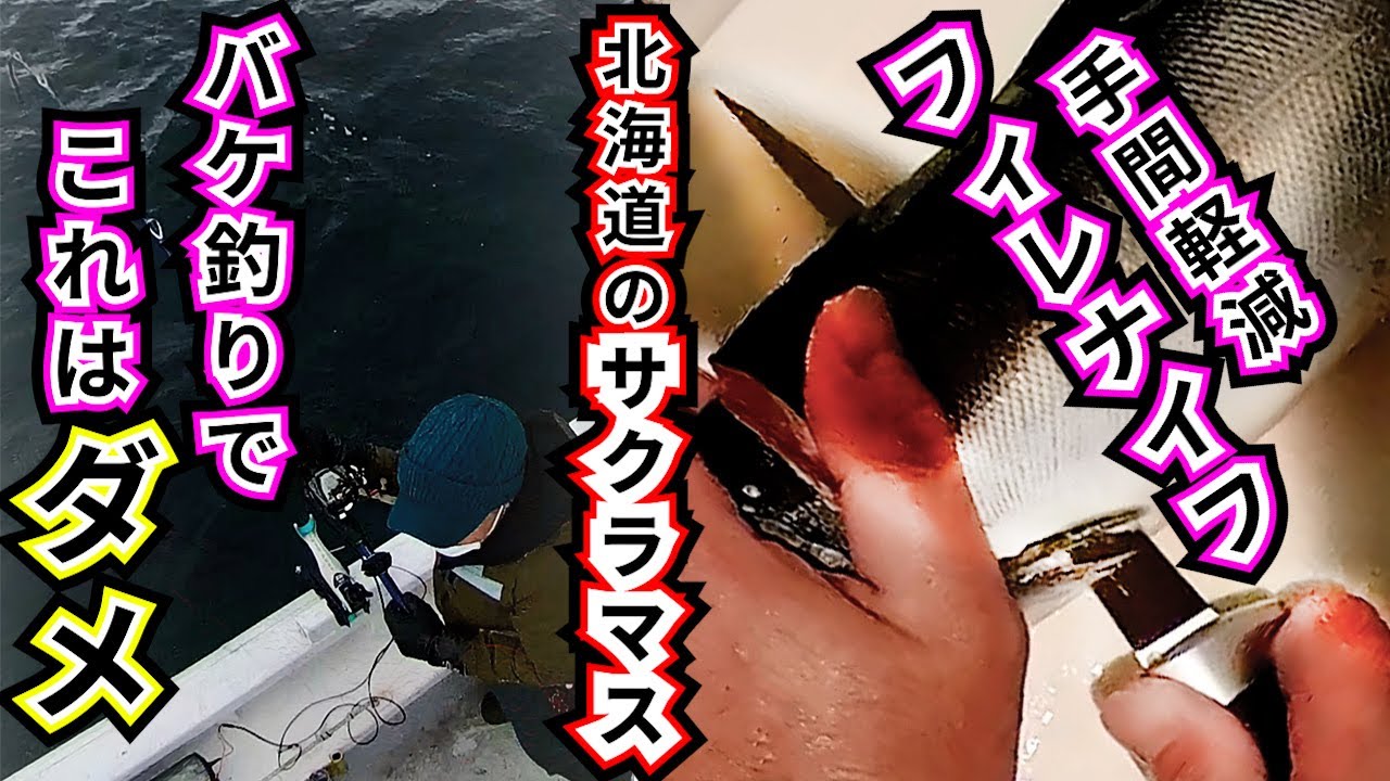 【サクラマス】【フィレナイフ】サクラマスバケ釣りでこれやっちゃダメ！手間軽減！フィレナイフで捌く！