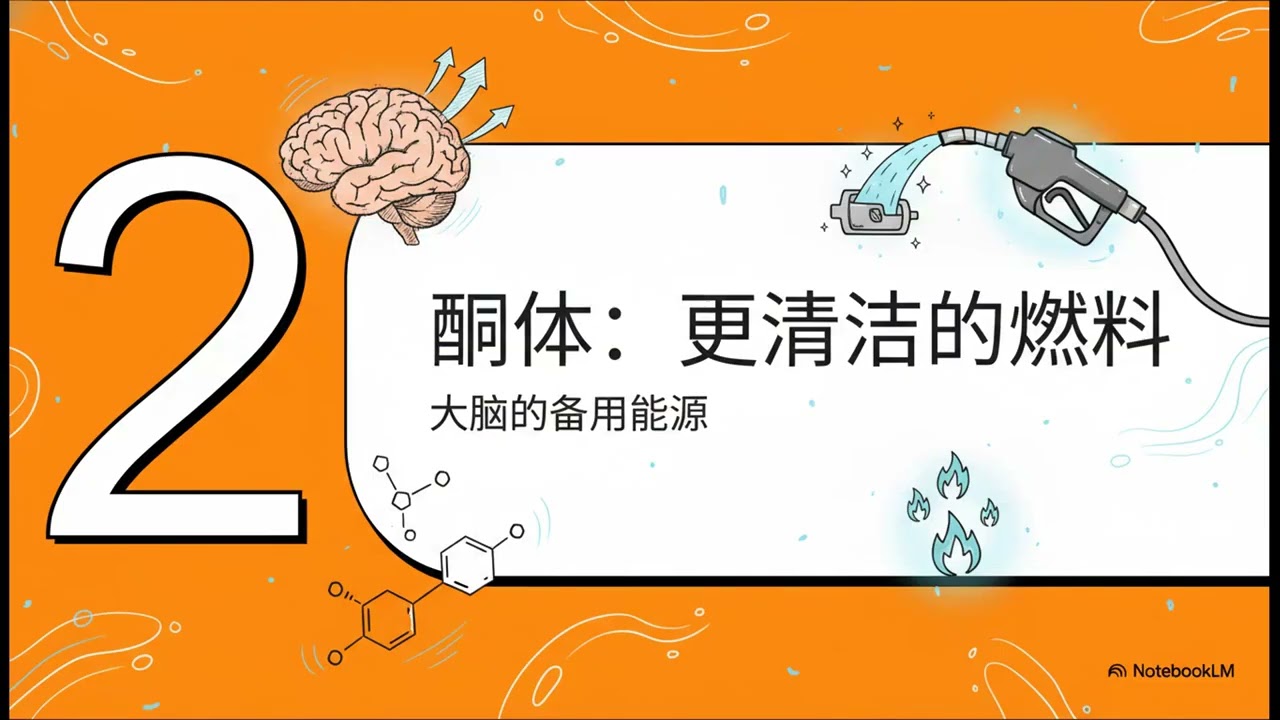 生酮不仅是减肥：一场关于对抗痴呆、癌症与炎症，并实现认知长青的身体燃料演化博弈