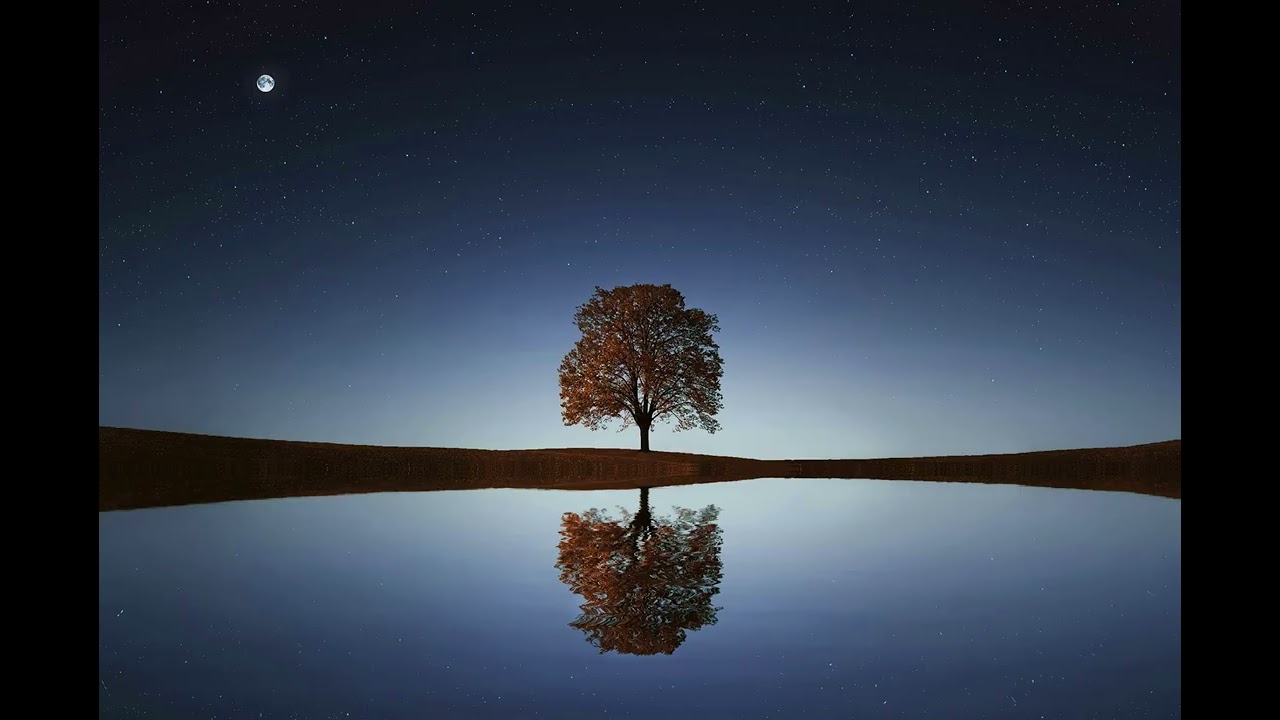 Relaxing Music Electric Guitar #13 #studymusic #relaxingmusic #ambiancesound