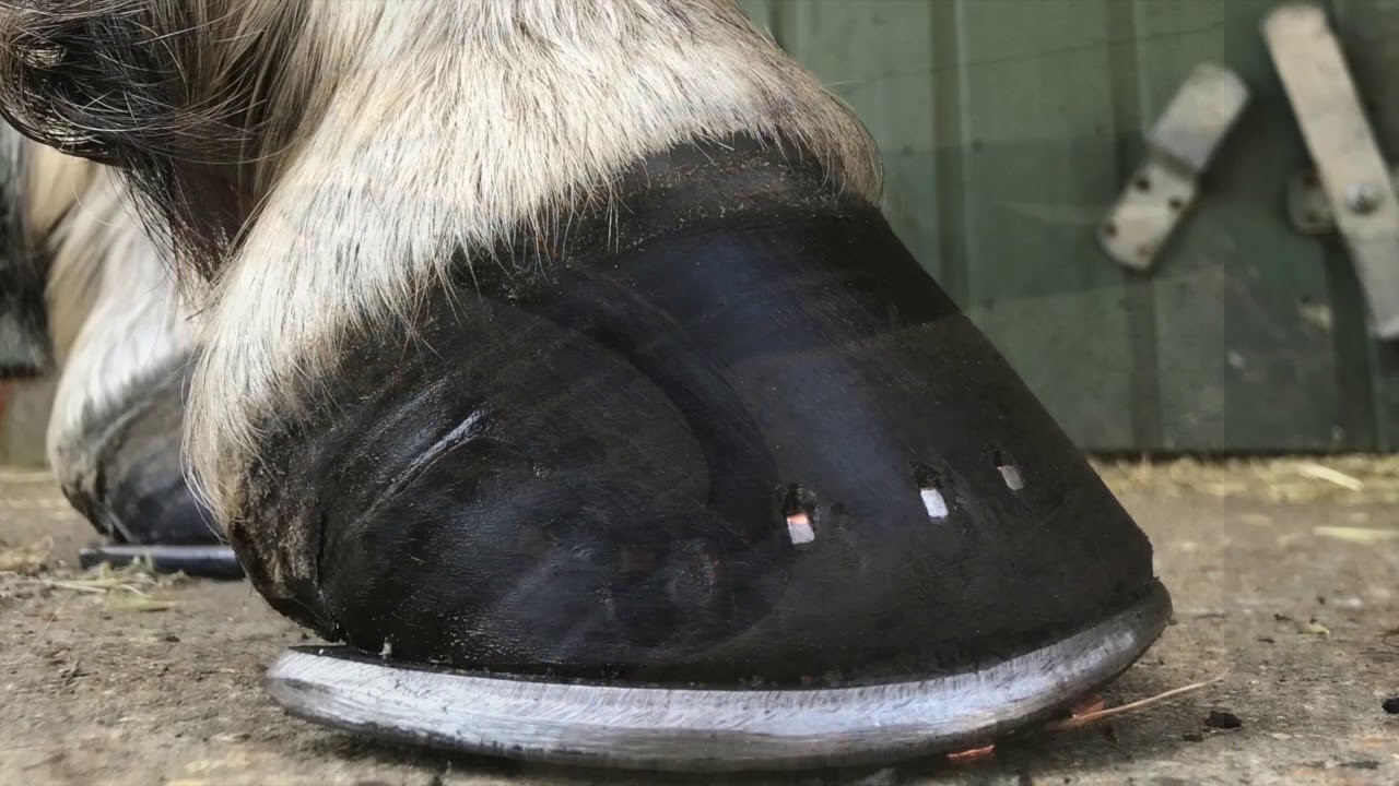 The Full Rolled Motion Toe Shoe