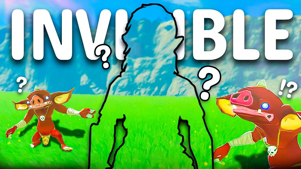 Этот мод для Zelda делает Линка невидимым