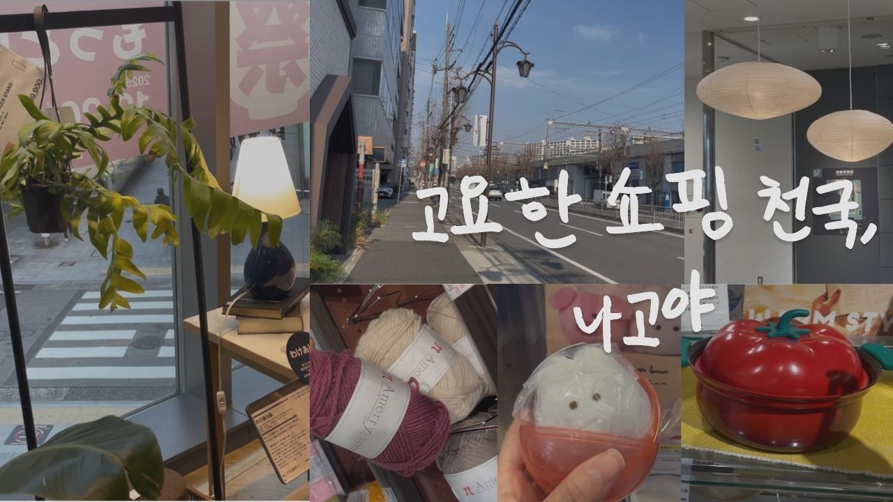 오사카 말고 여기 가세요… 🇯🇵 고요한 쇼핑 맛집 천국, 나고야 (무인양품, 다이소, 아카리조명, 유자와야, 로프트, 가챠샵, 라무치이 멘야시시마루, 세카이노 야마짱)