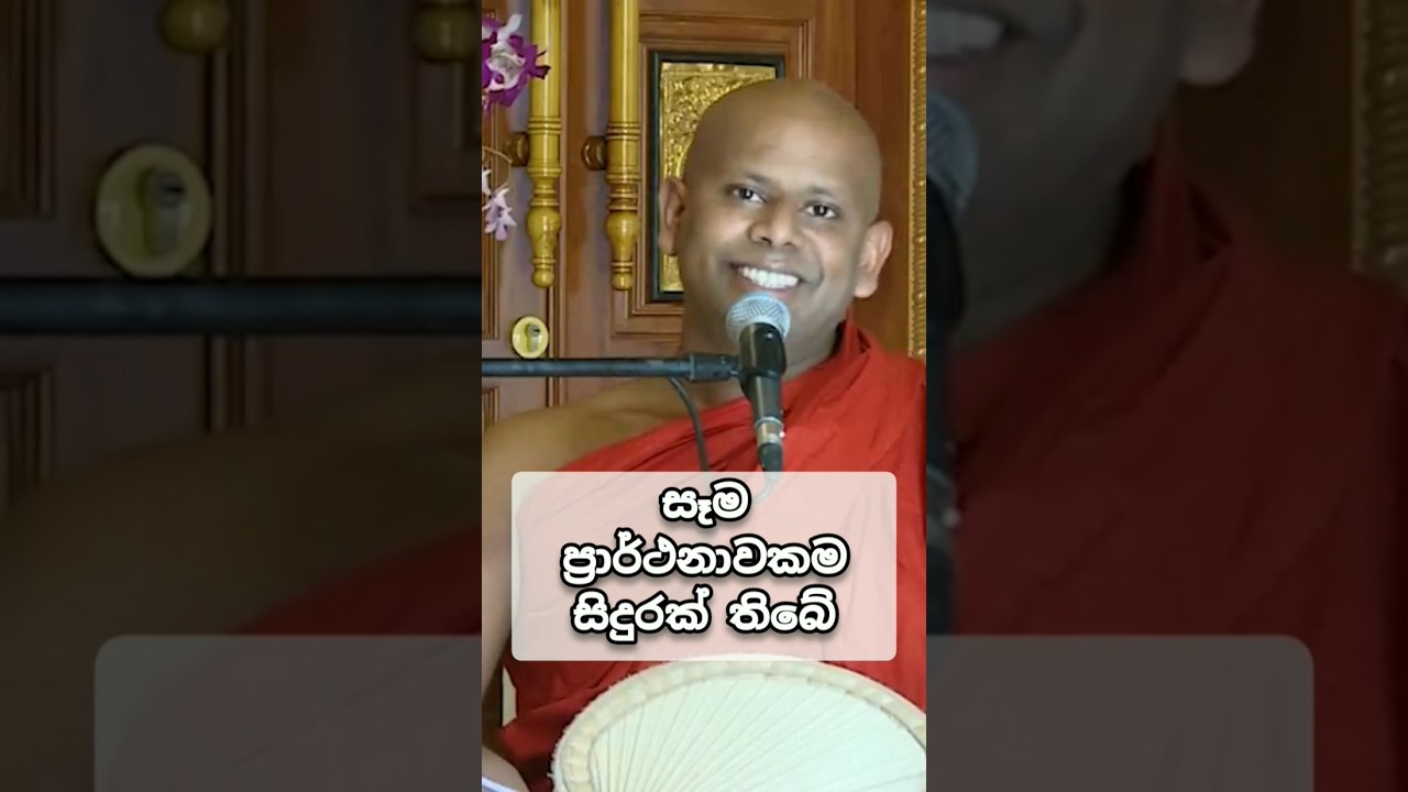 ඔබත් ප්&zwj;රාර්ථනා කරාද? 😮 #walimadasadddaseelahimi #bududahama #budubana