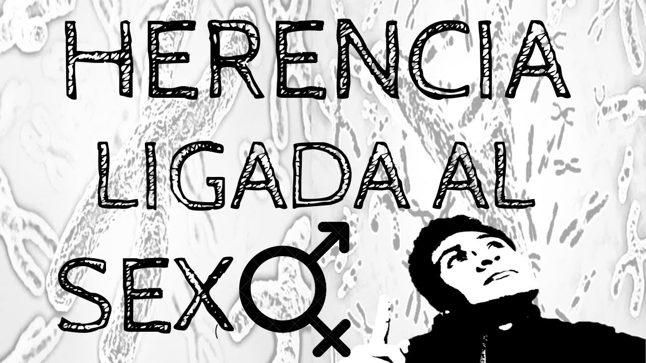 HERENCIA LIGADA SEXO DALTONISMO HEMOFILIA - HERENCIA RESTRICTA SEXO  HIPERTRICOSIS  AZOOSPERMIA