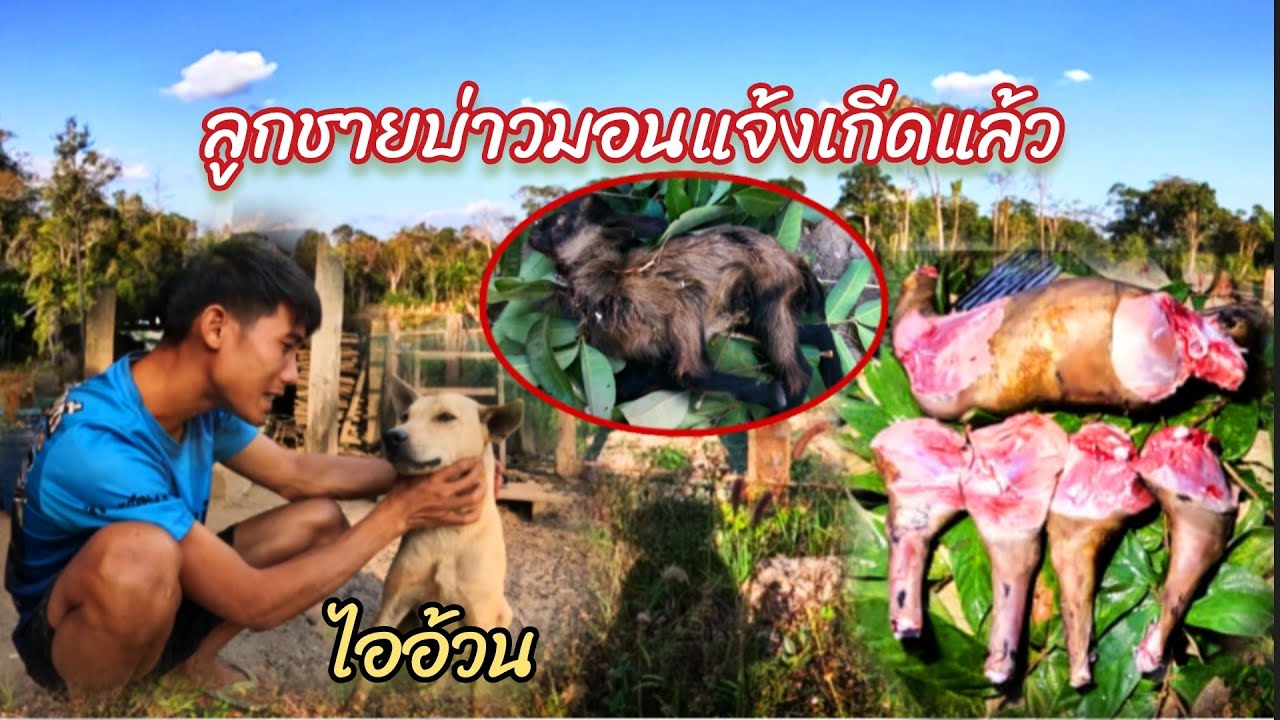 2 กุมภาพันธ์ ค.ศ. 2026ลูกชายบ่าวมอนแจ้งเกีดแล้วบักอ้วนจัดไห้//ລູກຊາຍບ່າວມອນແຈ້ງເກີດແລ້ວບັກອ້ວນຈັດໄຫ້