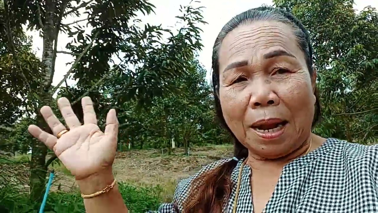 สวัสดีค่ะพี่น้องไปเที่ยวสวนทุเรียนเถ้าแก่แม่มอนนะคะ🤣🤣