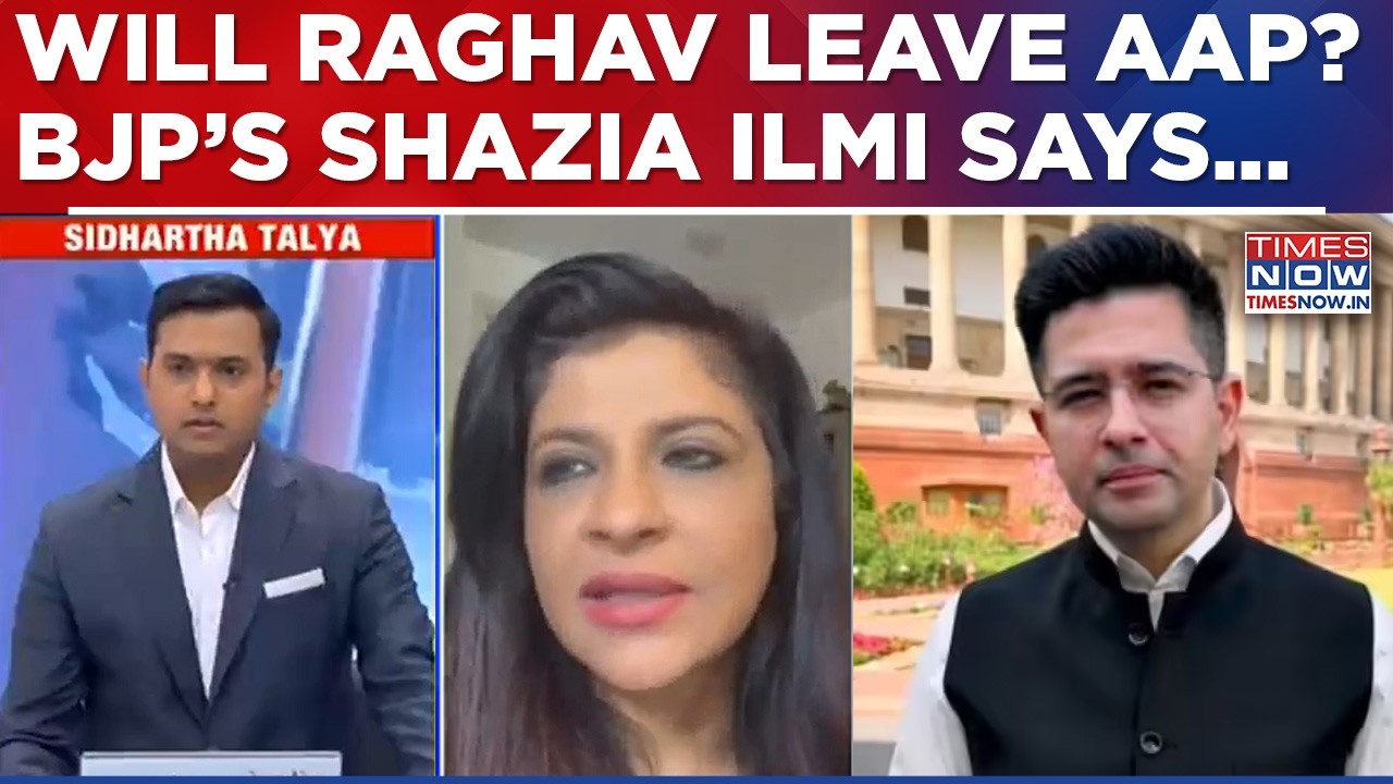 Shazia Ilmi Exclusive On Raghav Chadha's Removal, Says 'Arvind Kejriwal Would Never Stand...'