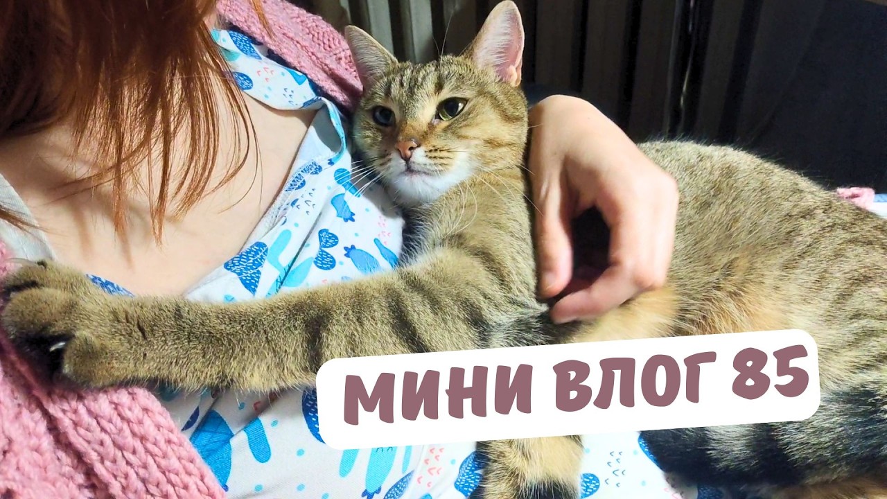 Беларусь / ФСЗН ИП за 2025 год /  один день из жизни