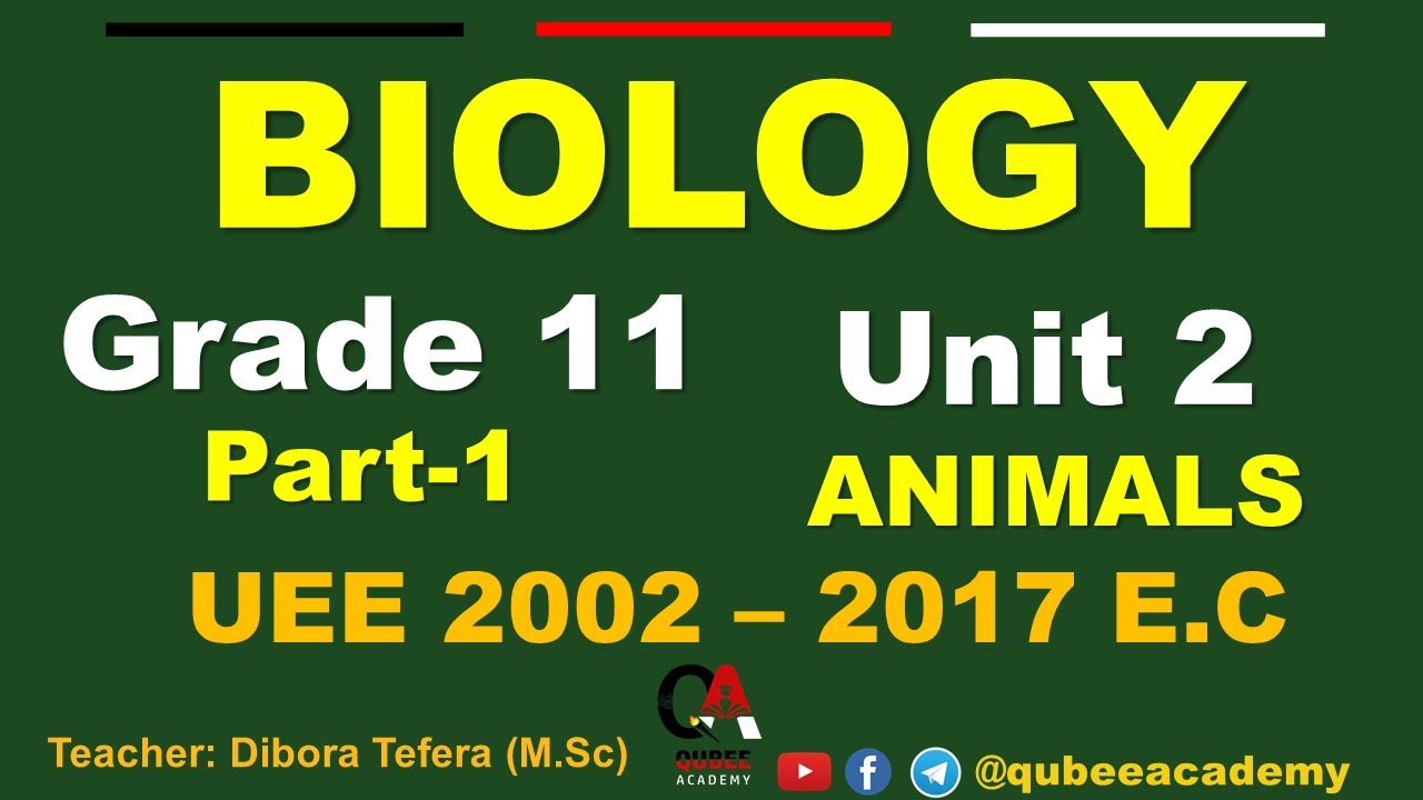 1. Grade 11 Biology | Unit 2: Animals | UEE Questions from 2002 - 2017 E.C | Part 1 | Afaan Oromoo