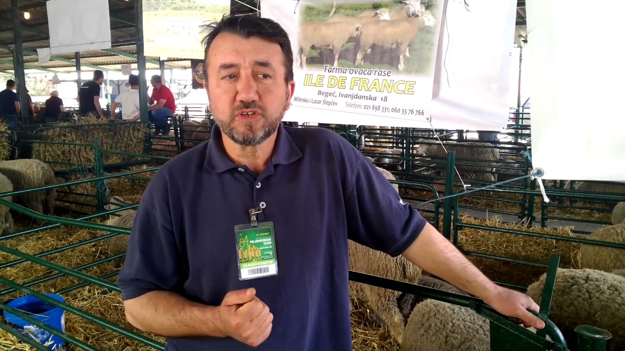 Pitali smo farmere ovaca: Milenko Slepčev