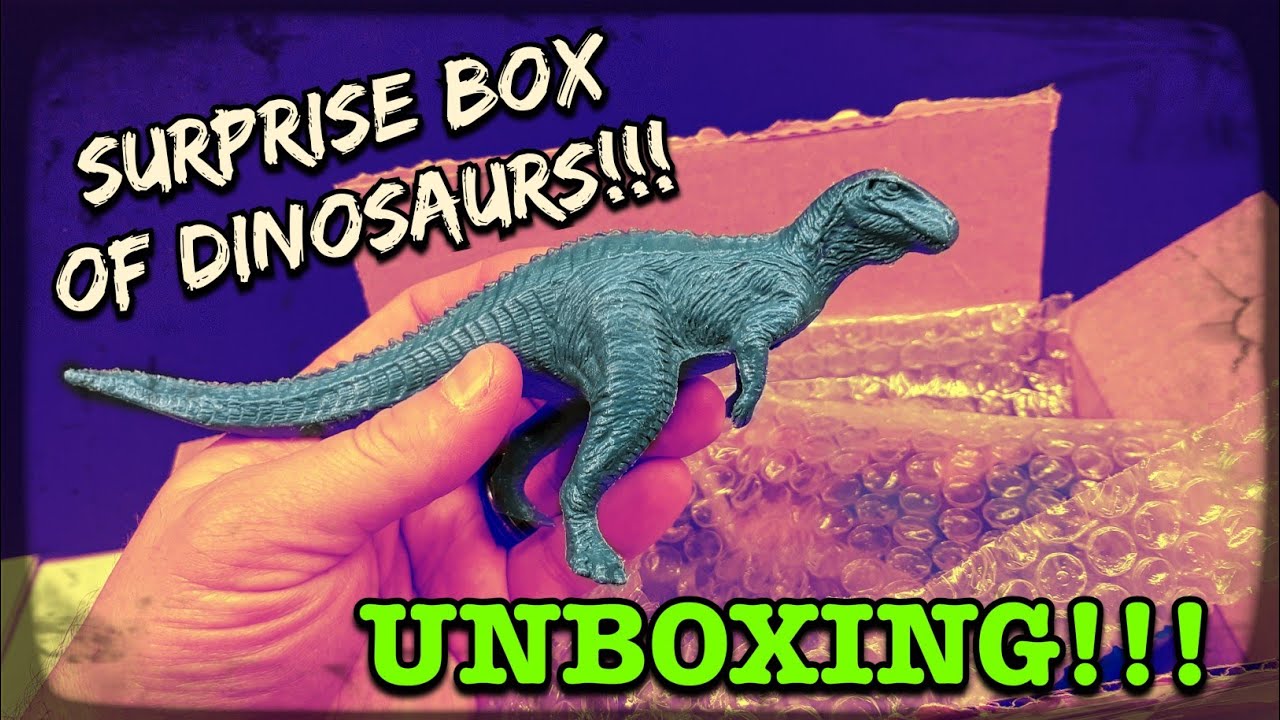 I have no idea what's inside! Unboxing a surprise box of Dinosaurs!!!