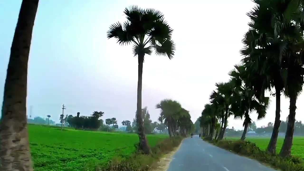বাংলার প্রকৃতি 