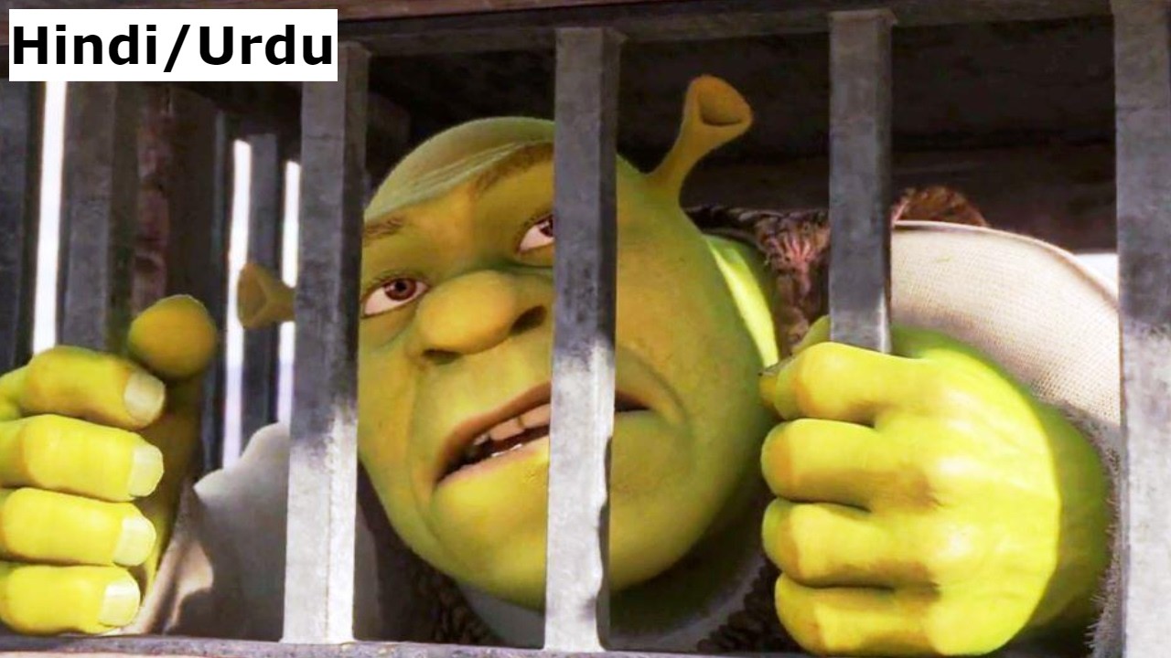 Shrek Forever After (2010) Film Explained in Hindi/Urdu | Shrek Forever After Ogre Summarized हिन्दी