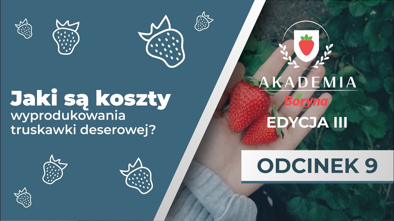 Jaki są koszty wyprodukowania truskawki deserowej? | Akademia Boryna III. Odcinek 9