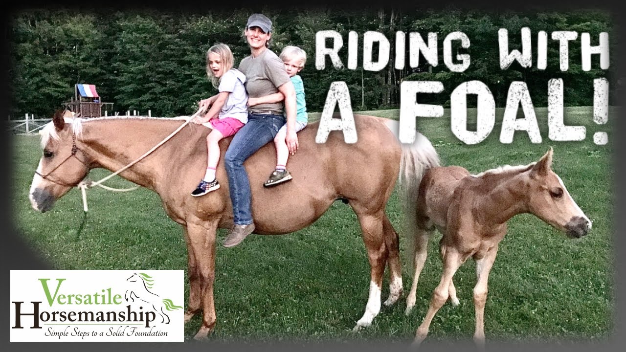 Riding A Mare With A Foal // Versatile Horsemanship