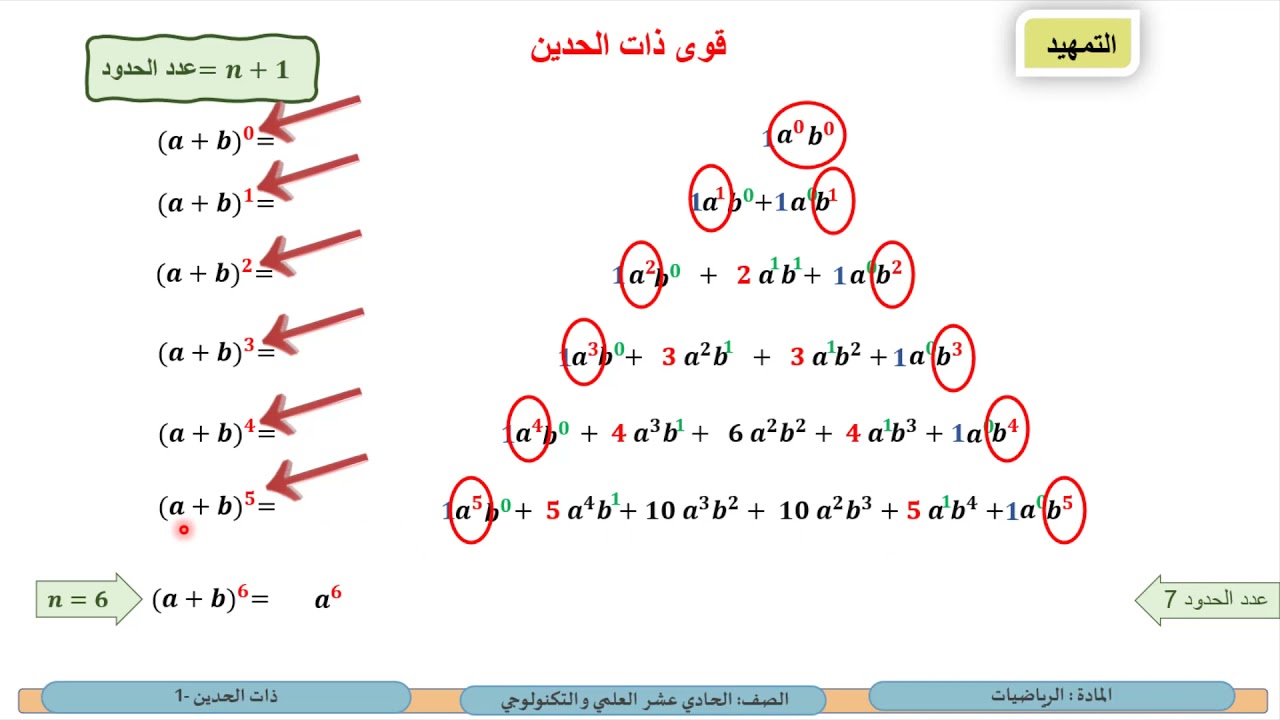 الصف الحادي عشر   المسار العلمي والتكنولوجي  الرياضيات    نظرية ذات الحدين 1