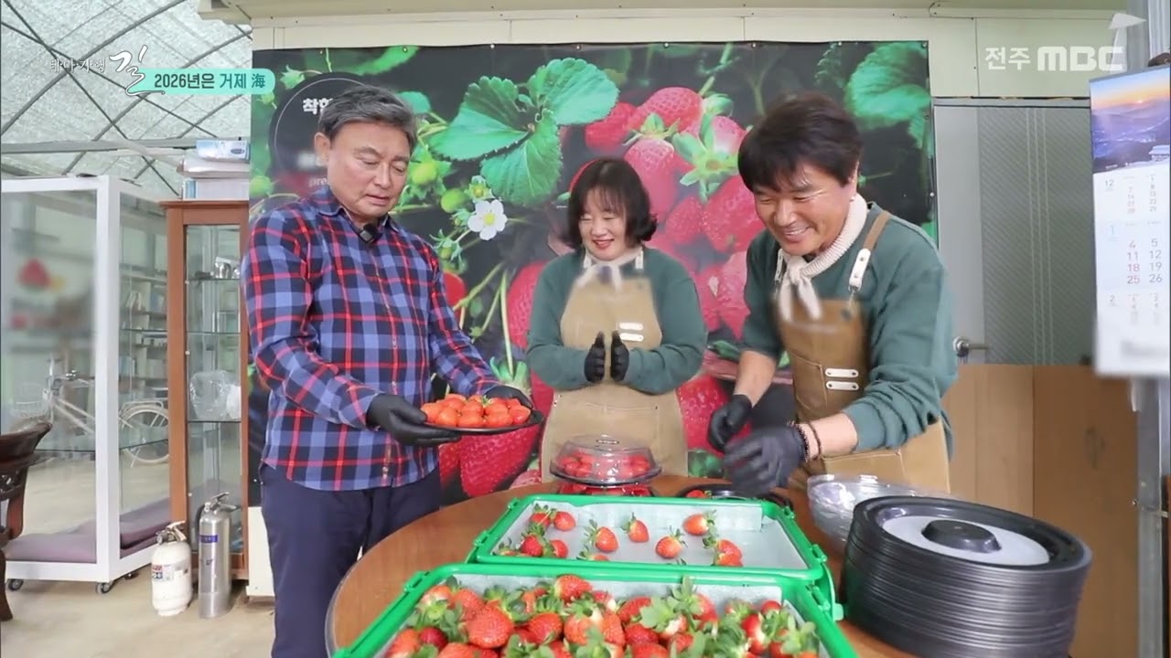 2026년은 거제 海