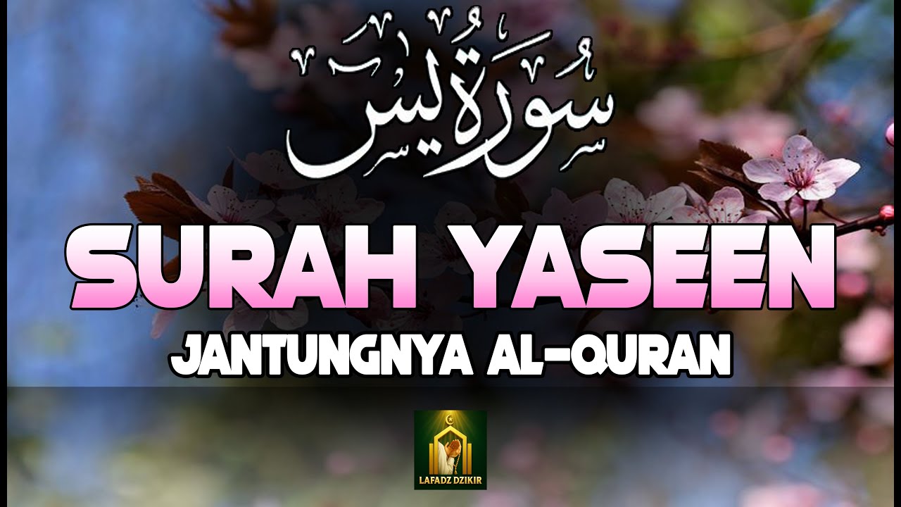 💥Dahsyatnya Surah Yā Sīn! Diampuni Dosanya, Terpenuhi Kebutuhannya & Dimudahkan Segala Urusanyaseen