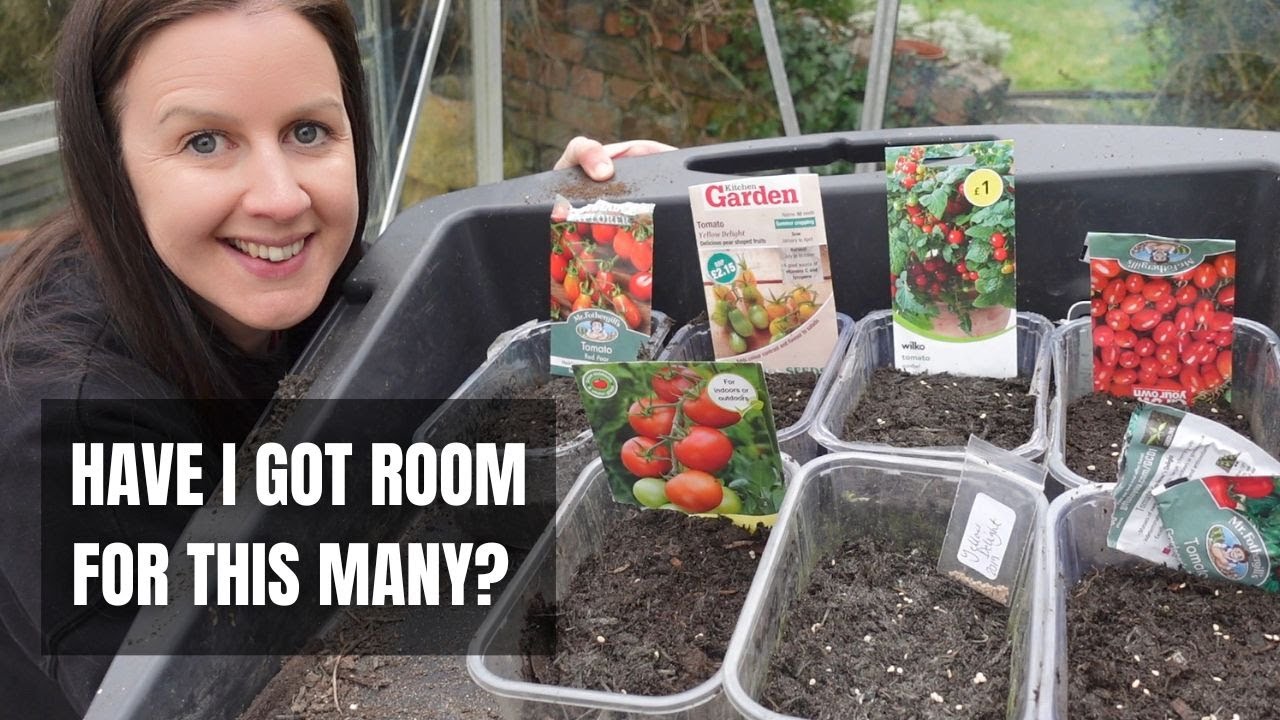 Growing Tomatoes From Seed | How To Multi Sow Tomatoes In March