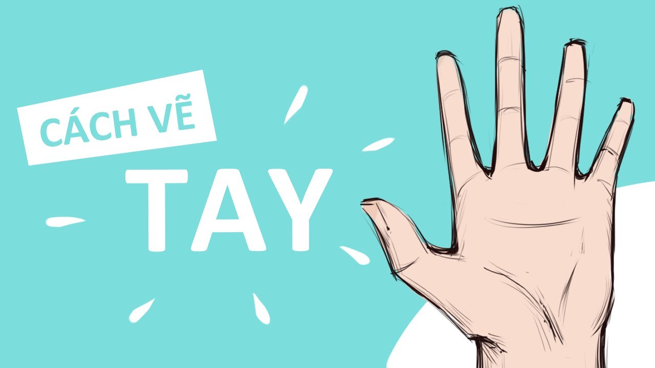 Cách Vẽ BÀN TAY cơ bản ( Siêu Dễ!!! )