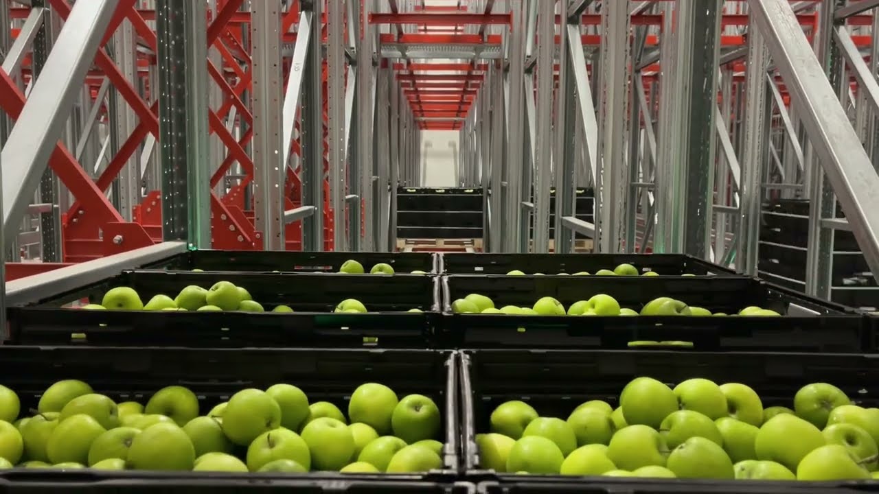The Future of Warehouse Scalability with E4SHUTTLE: the 4-Way Pallet Shuttle by Eurofork®