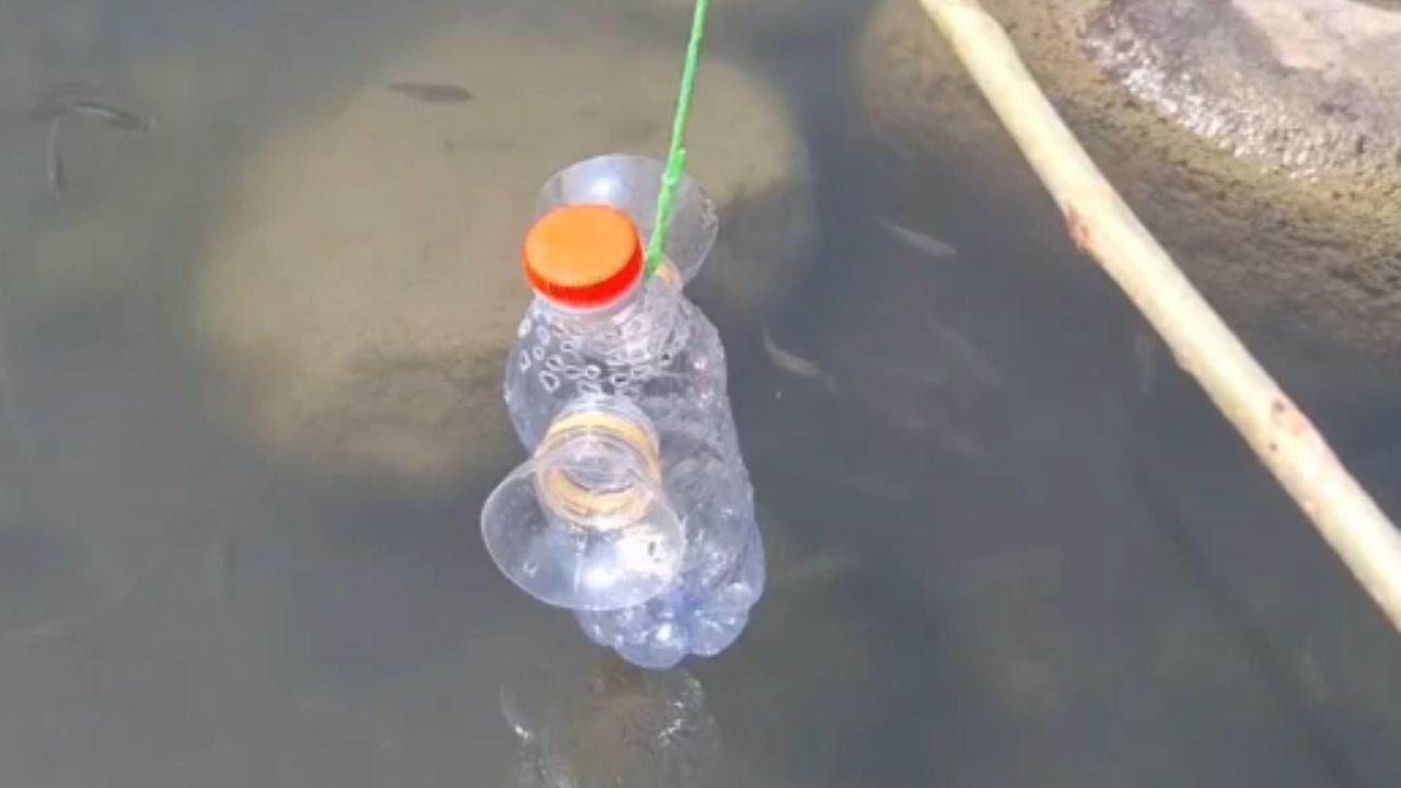 Ingenious Fish Trap: Plastic Bottle Filled with Fish || WooGlobe