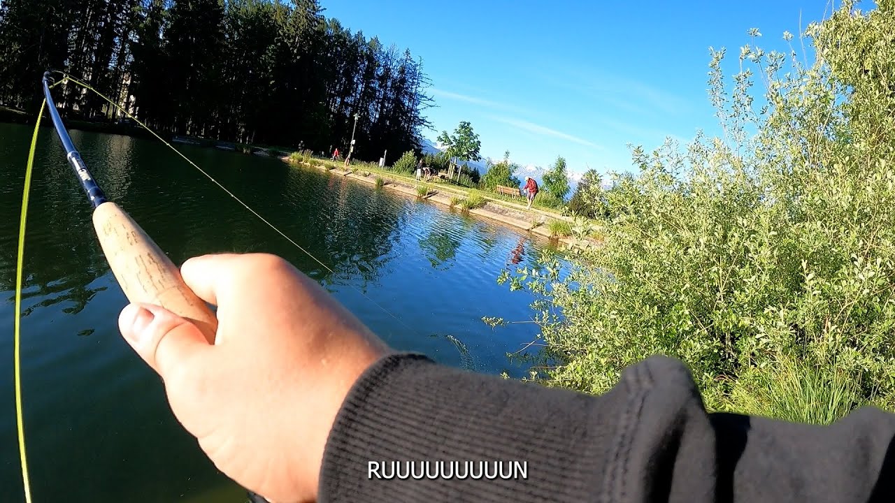 UN GROS RUSH POUR MA PREMIERE SESSION MOUCHE !!! || CORVAL FISHING ||