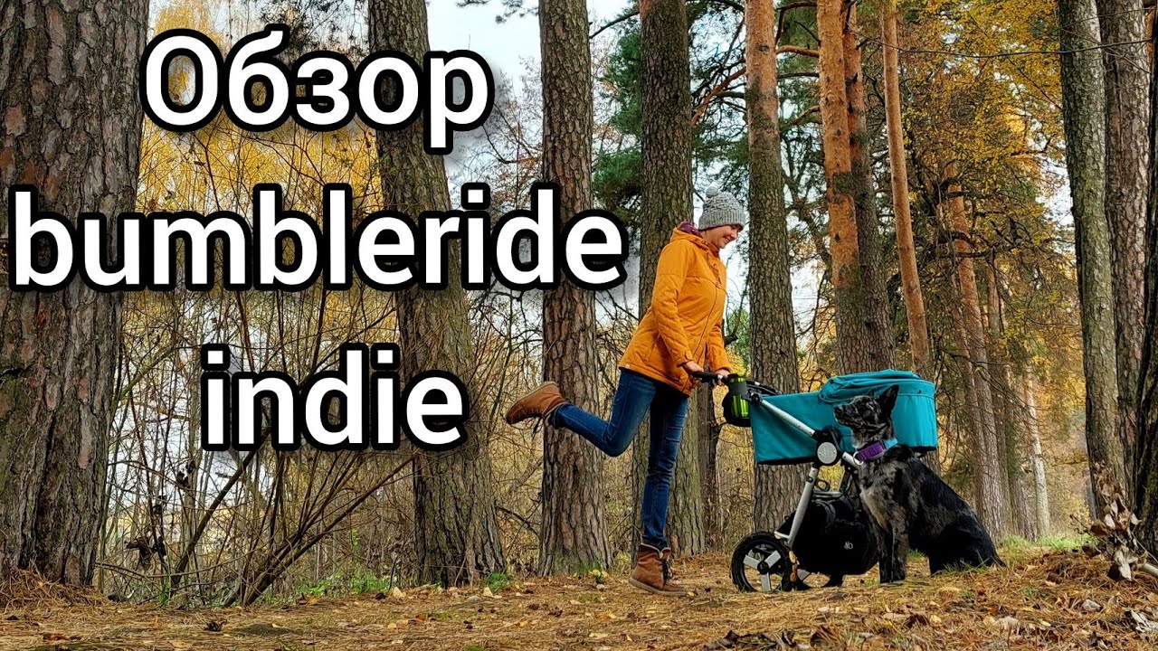 Обзор коляски BUMBLERIDE INDIE. Часть 1.