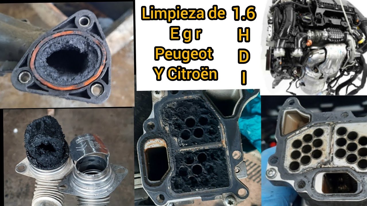 limpieza egr de Peugeot y citroen motor 9hp 1.6 hdi