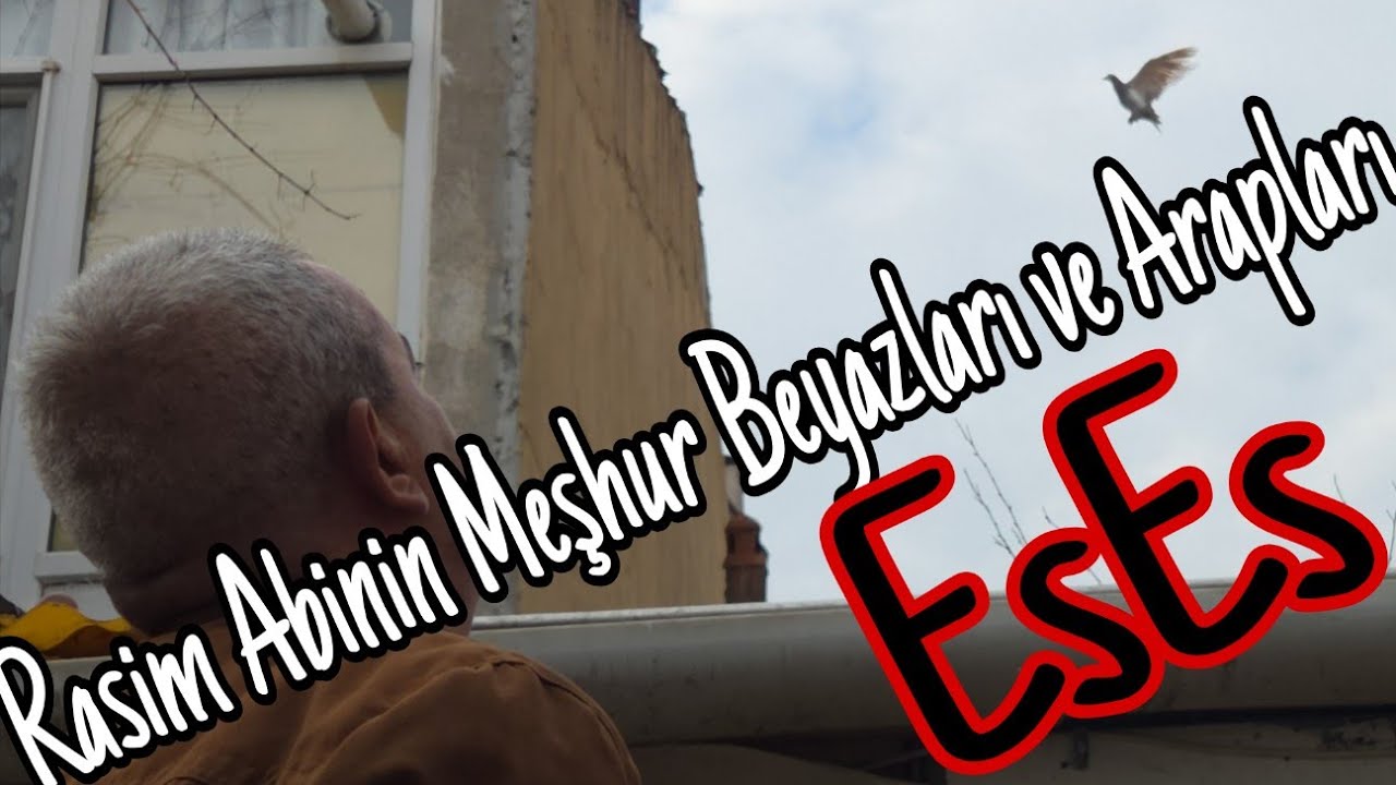 Rasim Abinin Meşhur Beyazları ve Arapları. Eskişehir.