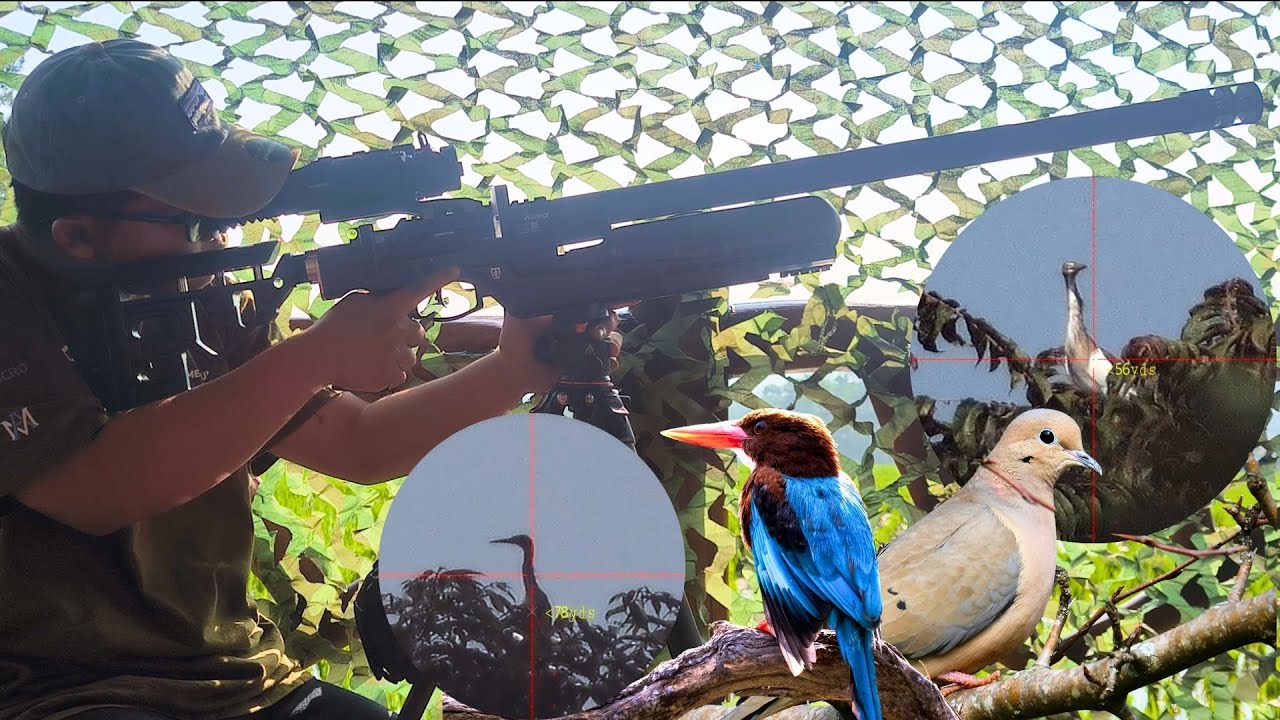 EPIC Pest Bird Hunting | Airgun Shooting
