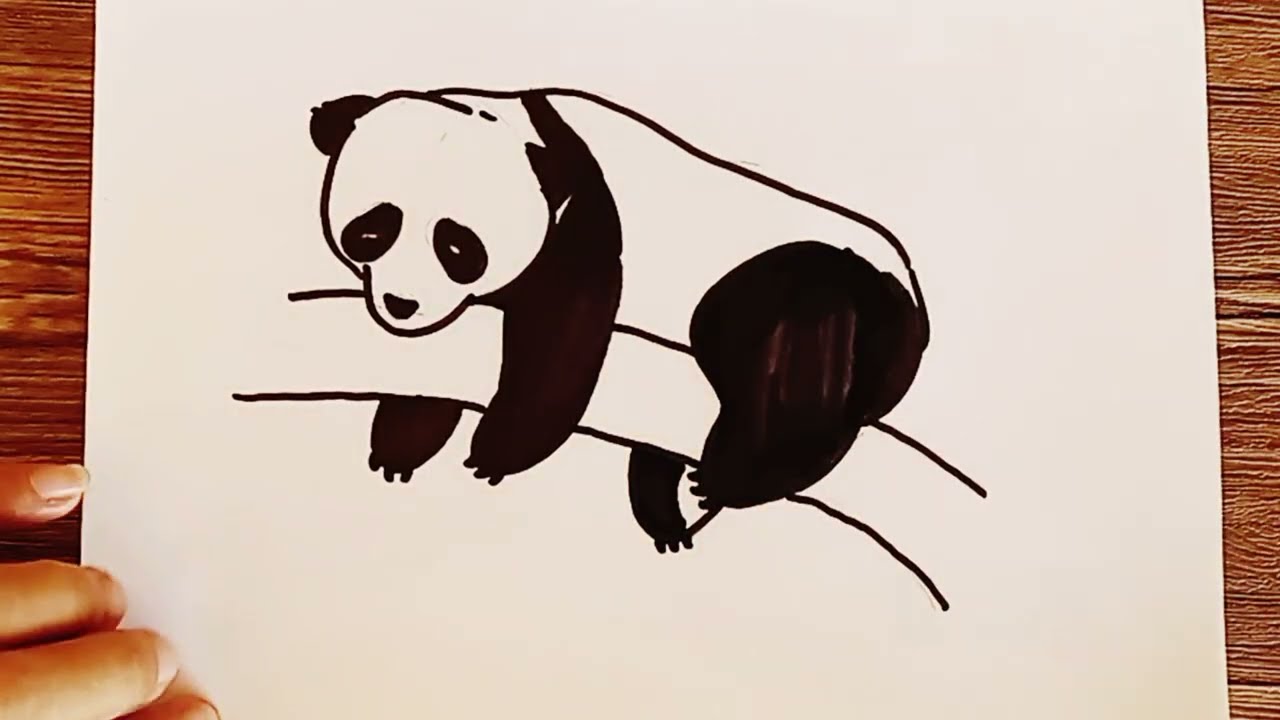 How to draw Panda|Basic Drawing 