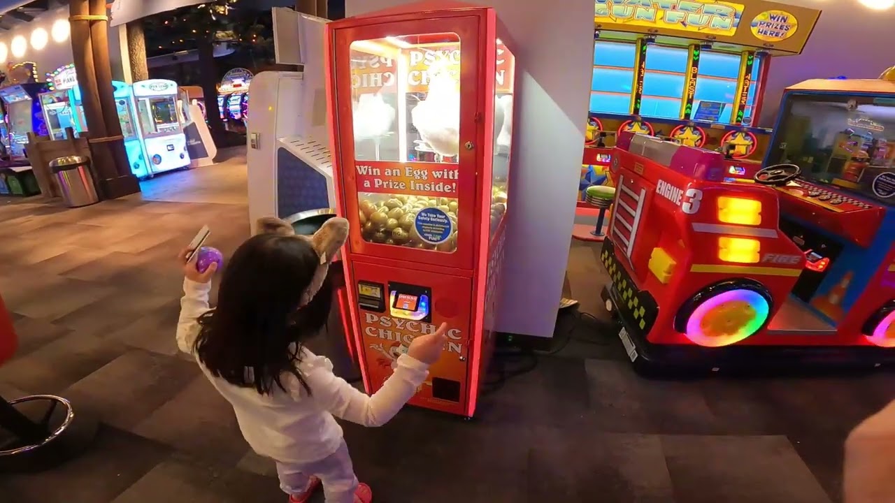 greatwolf lodge northern lights arcade gurnee IL.