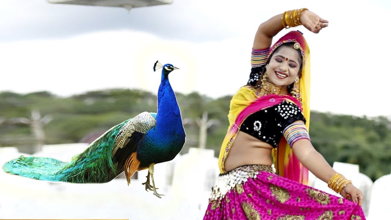 Rani Rangili Top-8 सदाबहार गीत |Nonstop Rajasthani Song 2025 |Video Jukebox राजस्थानी सुपरहिट सॉन्ग