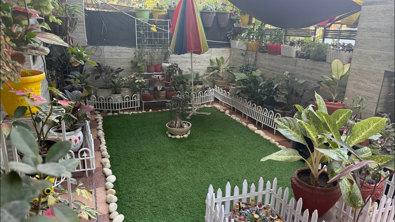 Some summer plants grow with cutting