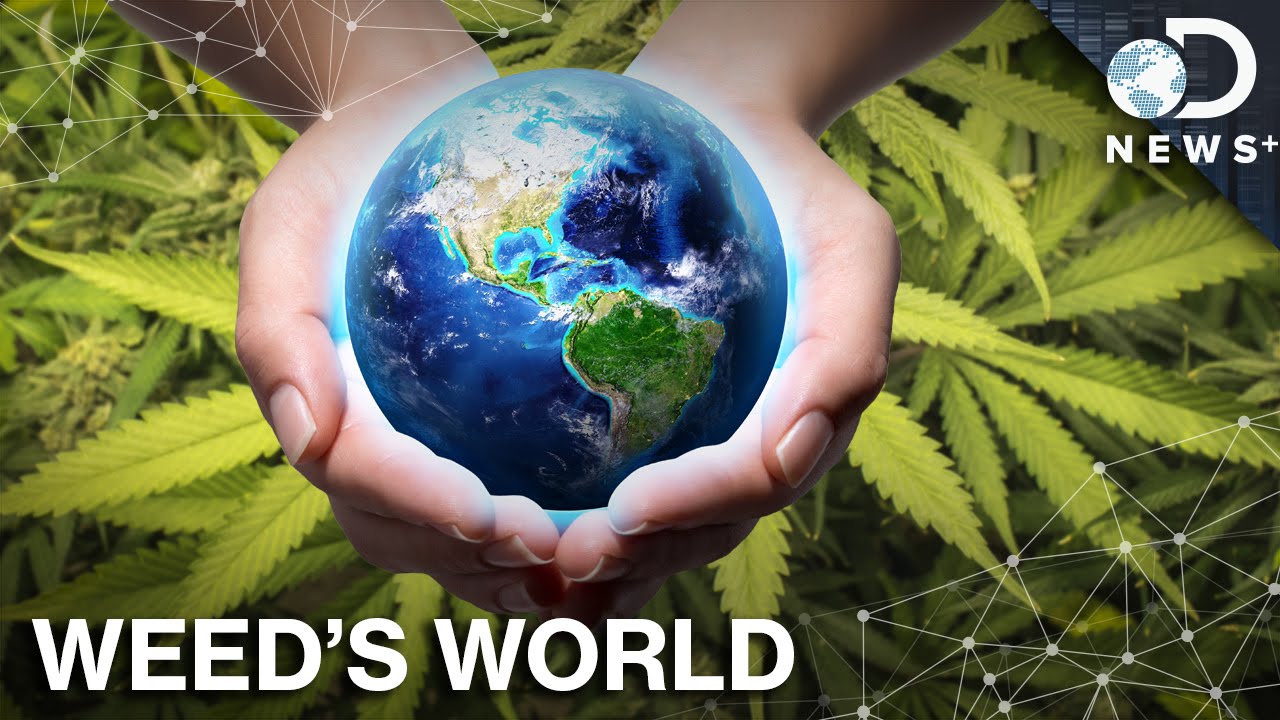 What Would A World With Legal Pot Look Like?