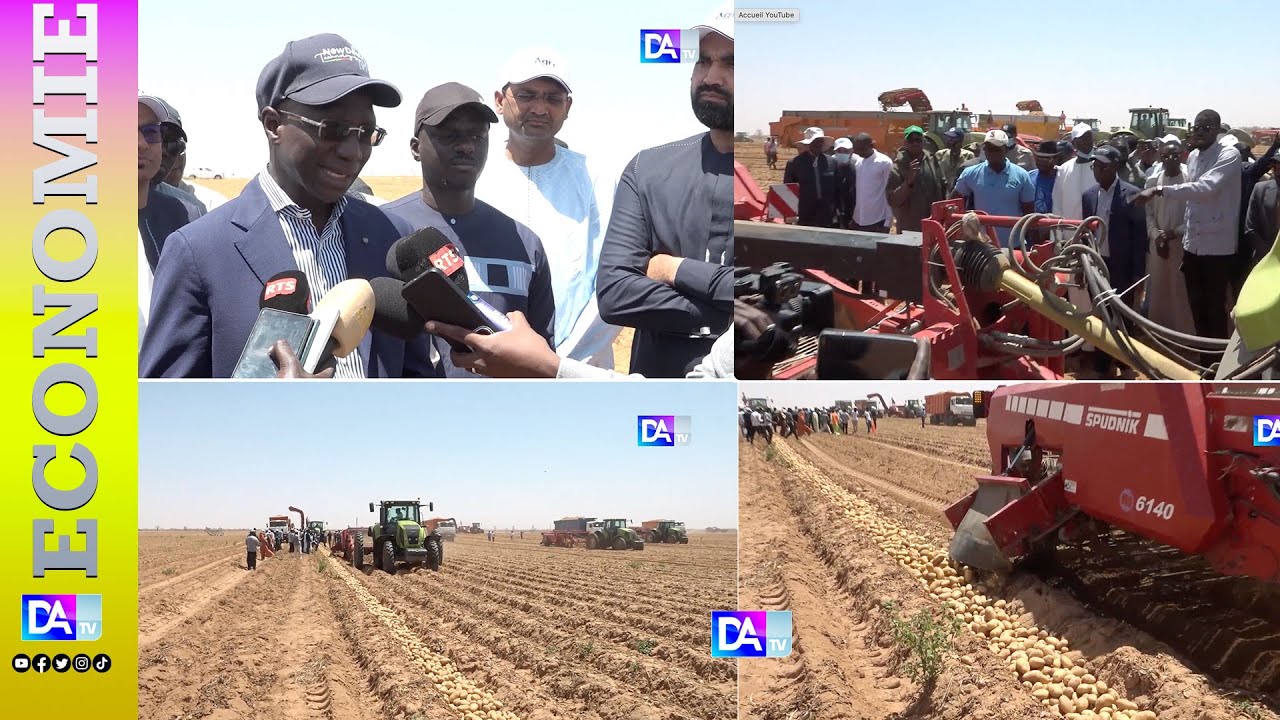 Production de semences certifiées : SWAMI AGRI octroie 130 hectares à l’ISRA