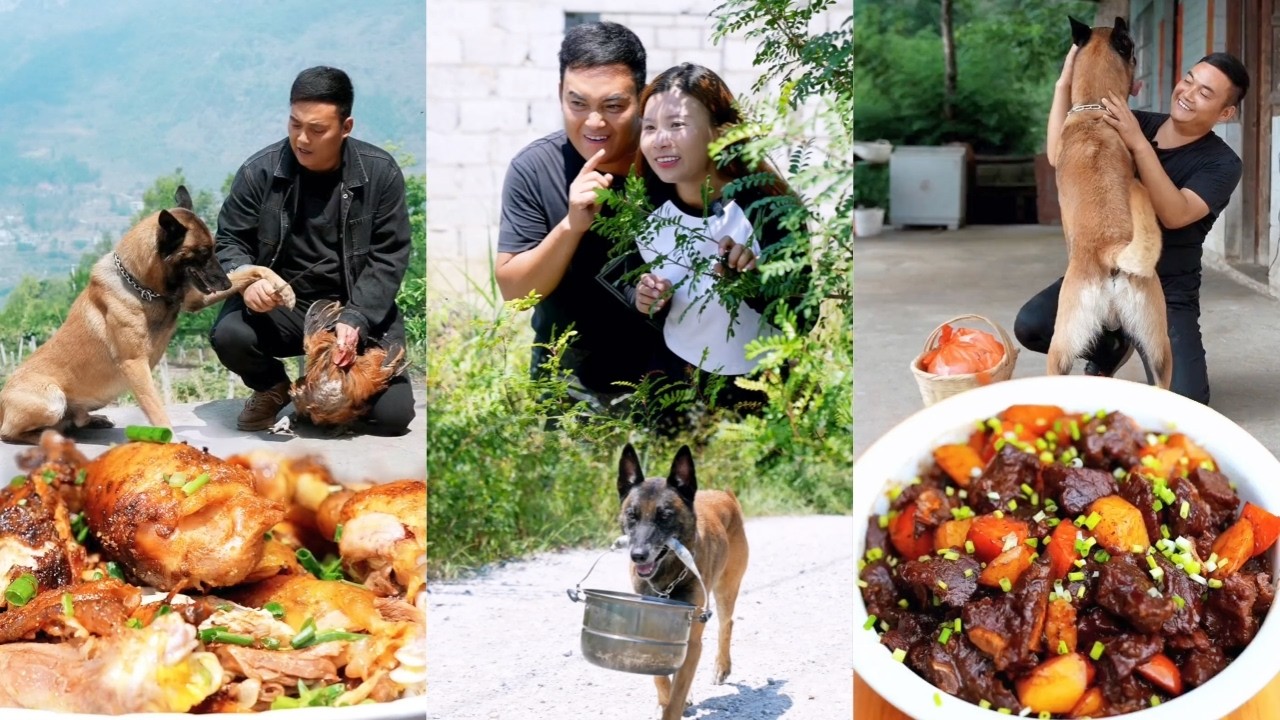 感人故事：狗狗无私救助动物伙伴，尝试用善良改变命运！🐾❤️
