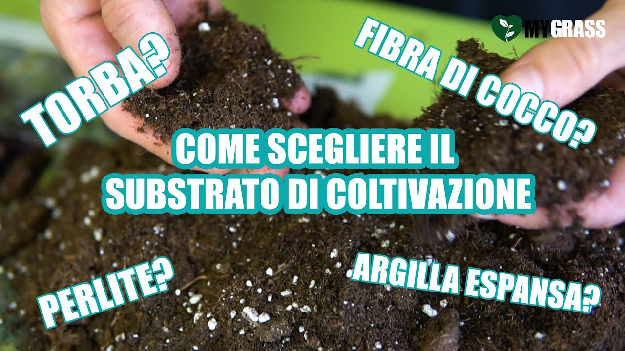 Sub ENG - Come scegliere il TERRICCIO per la vostra coltivazione (HOW TO CHOOSE SOIL)