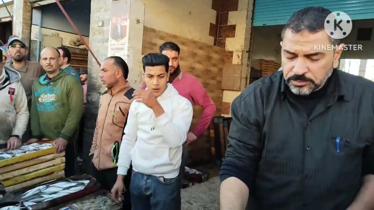 🔥أرخص مزاد سمك وجمبري في المعدية إدكو 🐟🦐 أسعار نار من 7 الصبح