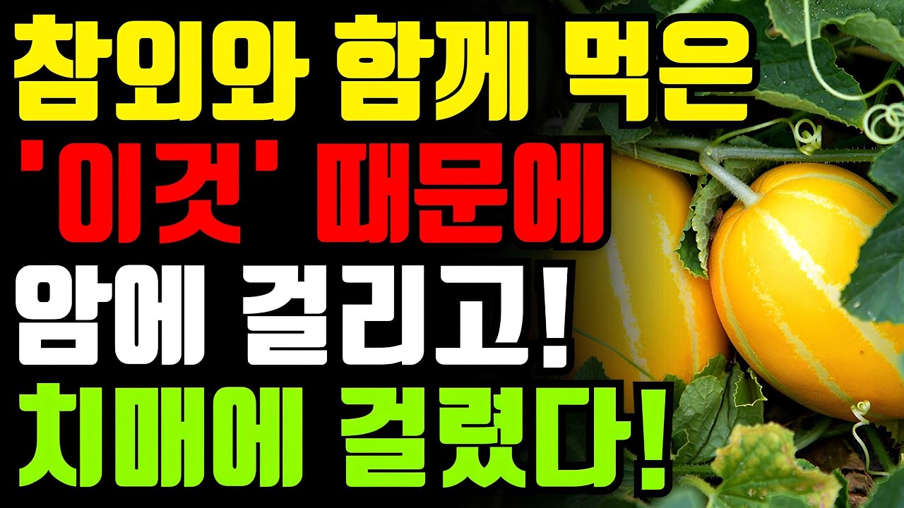 참외와 절대로 함께 먹지마세요! 암과 치매에 걸릴 수 있습니다! 참외 최악의 궁합인 3가지와 만성염증 독소 빼주는 보약보다 좋은 최고의 레시피 총정리 [봄 여름 과일 건강 효능]