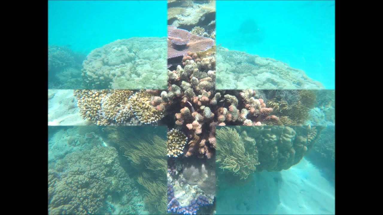 Snorkelling off Doini Island Papua New Guinea